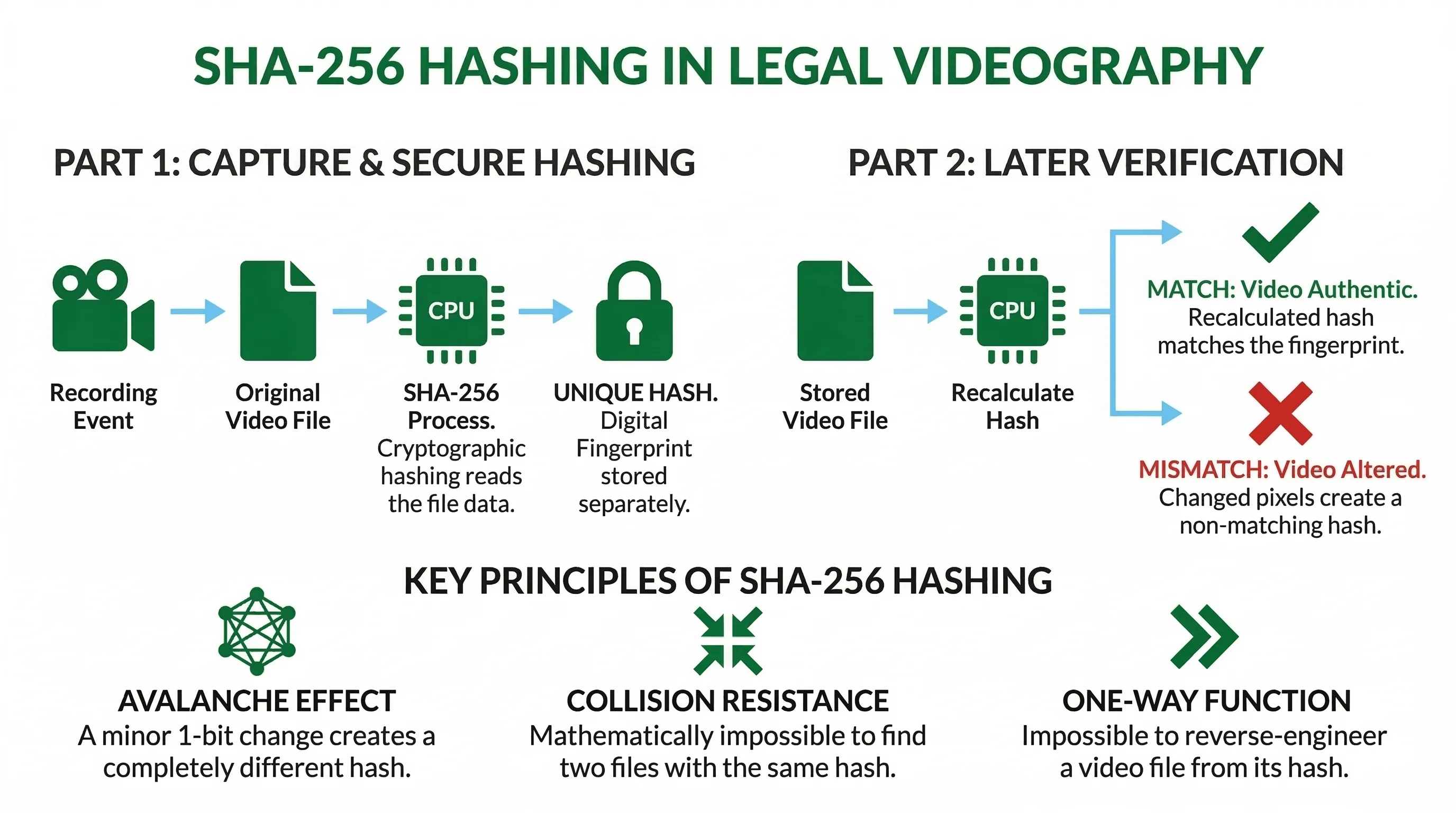 Chain of Custody: Understanding SHA-256 Hashing