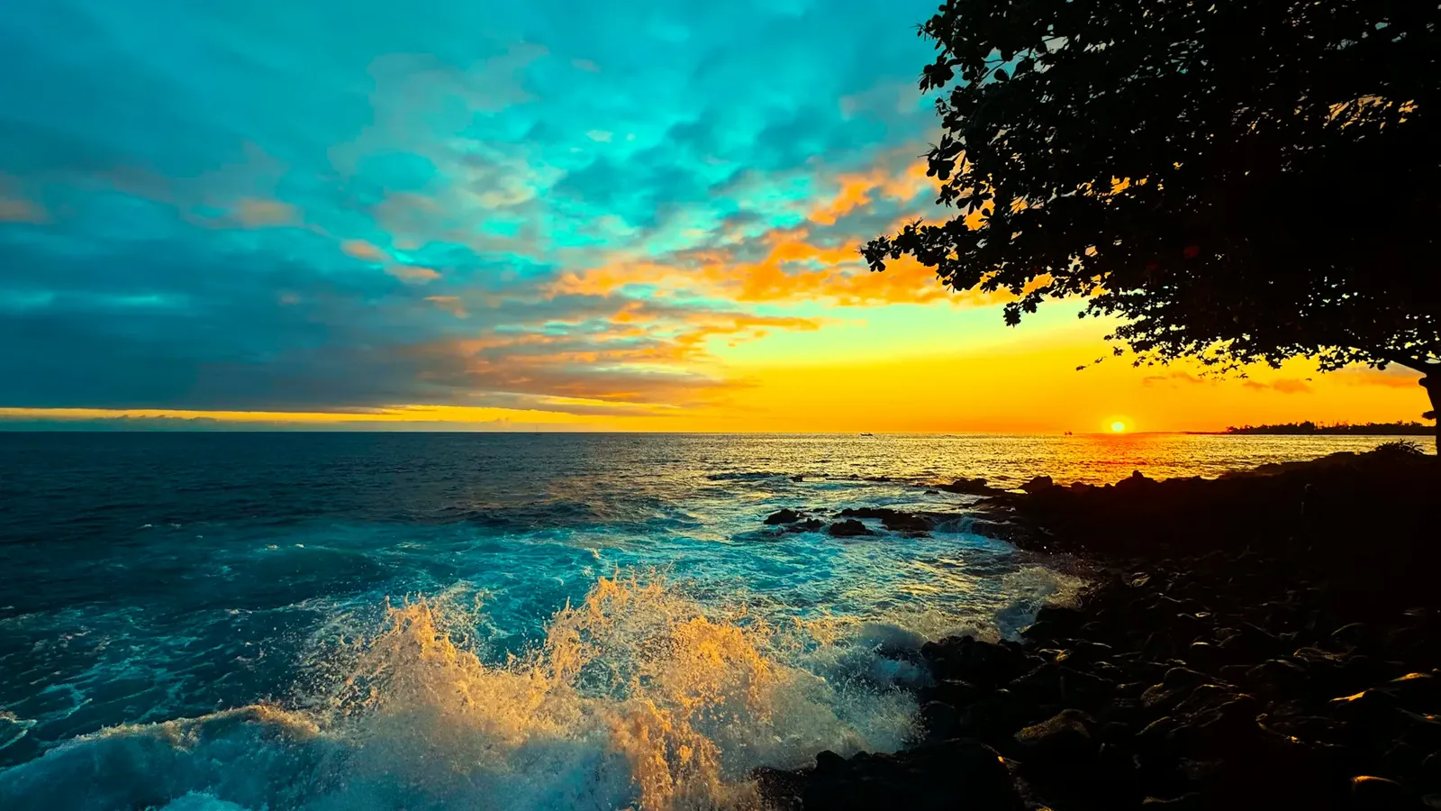 Kailua-Kona Legal Videography