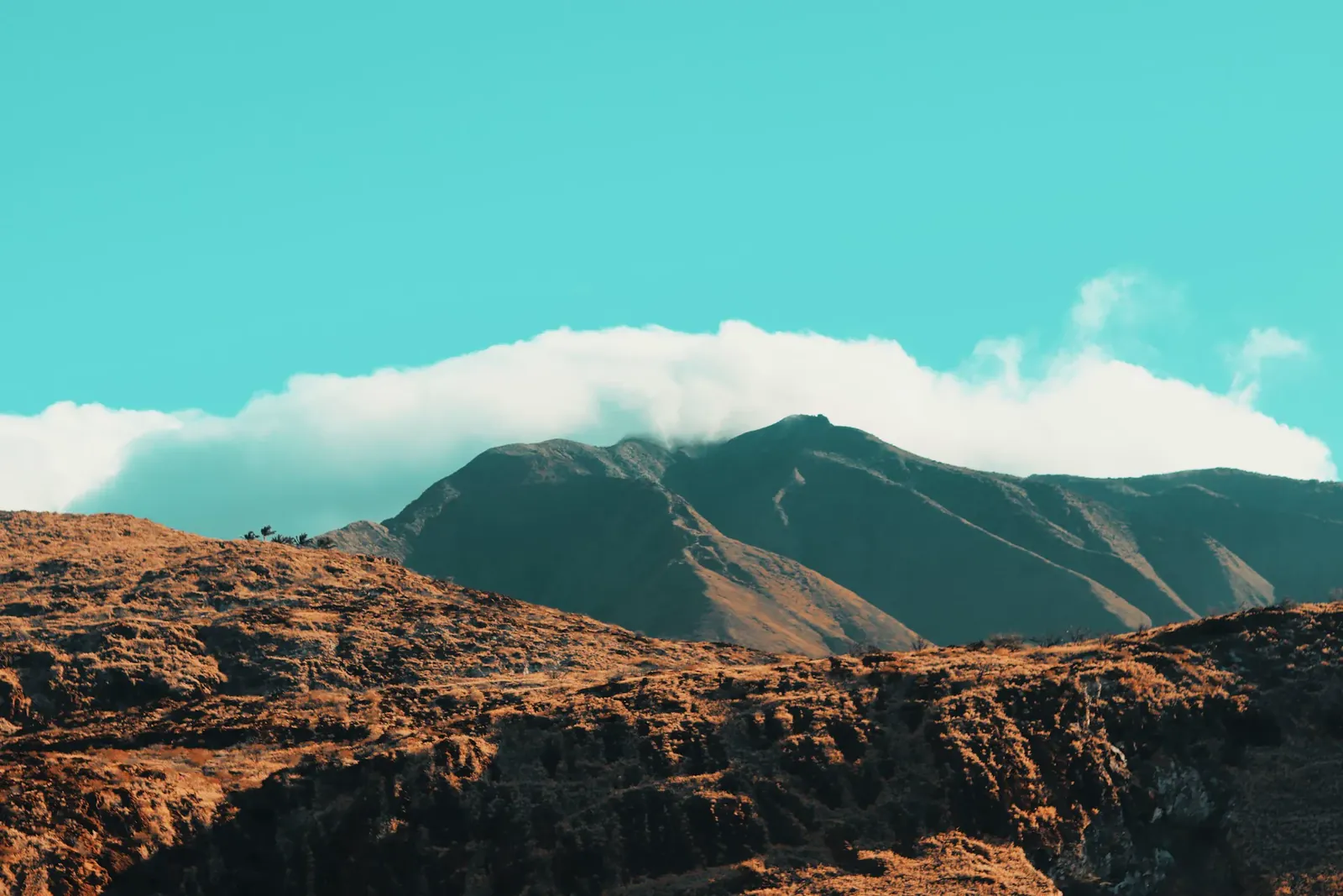 Maui Legal Videography
